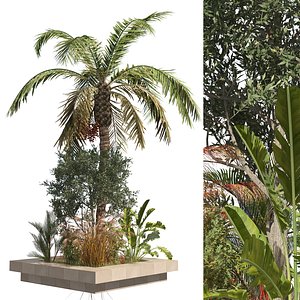 Island plants collection 3D