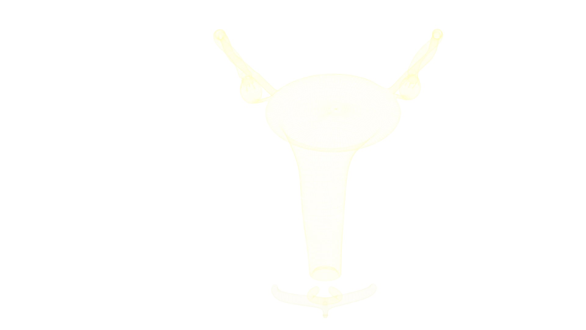 3D model 3D Human Uterus Anatomy Model  Female Reproductive System https://p.turbosquid.com/ts-thumb/AD/SfbKyc/fv/uterusfull_5/png/1757877986/1920x1080/fit_q87/08a1ef40c4f564e4ca4e08d13165f9b3bd358232/uterusfull_5.jpg
