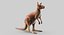 Collection d'animaux sauvages (girafe, kangourou, orignal, chameau)