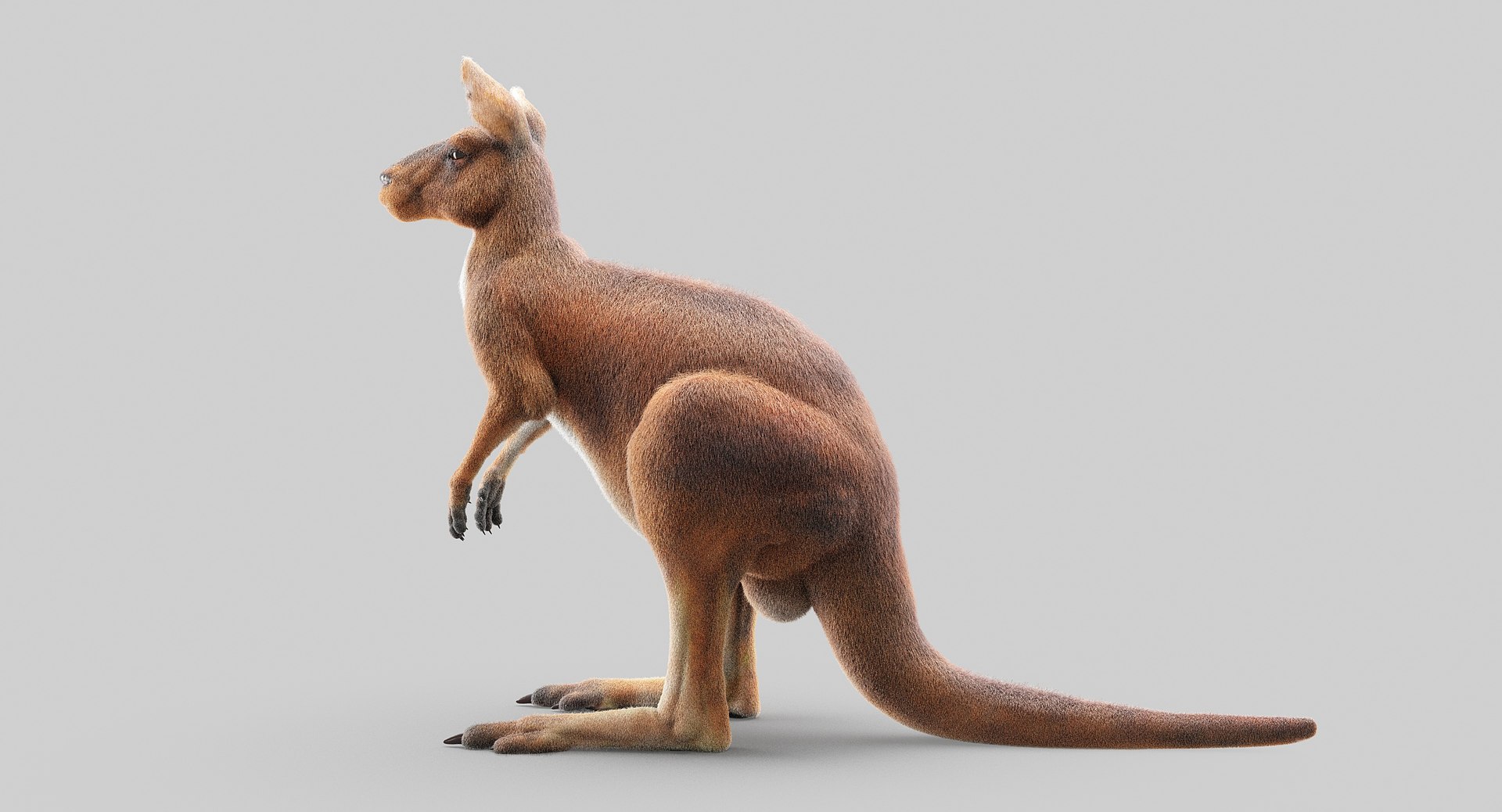 3D animals giraffe camel https://p.turbosquid.com/ts-thumb/AD/VslTpU/3ALOBdTH/4/jpg/1511296343/1920x1080/fit_q87/0e0518db76de50f2b8b193e8cfce383048874a96/4.jpg