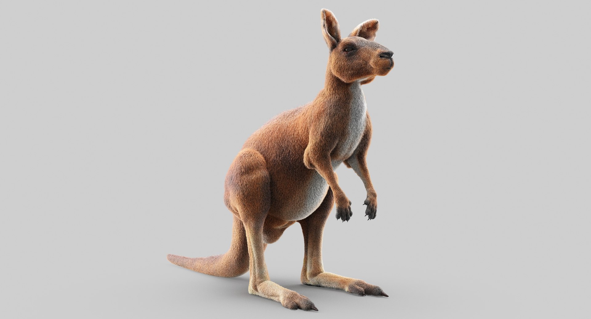 3D animals giraffe camel https://p.turbosquid.com/ts-thumb/AD/VslTpU/42tnp9RL/1/jpg/1511296343/1920x1080/fit_q87/4aa2c3f5983bc2bbf7c5566d94c8e128952c2bfd/1.jpg