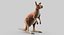 Collection d'animaux sauvages (girafe, kangourou, orignal, chameau)