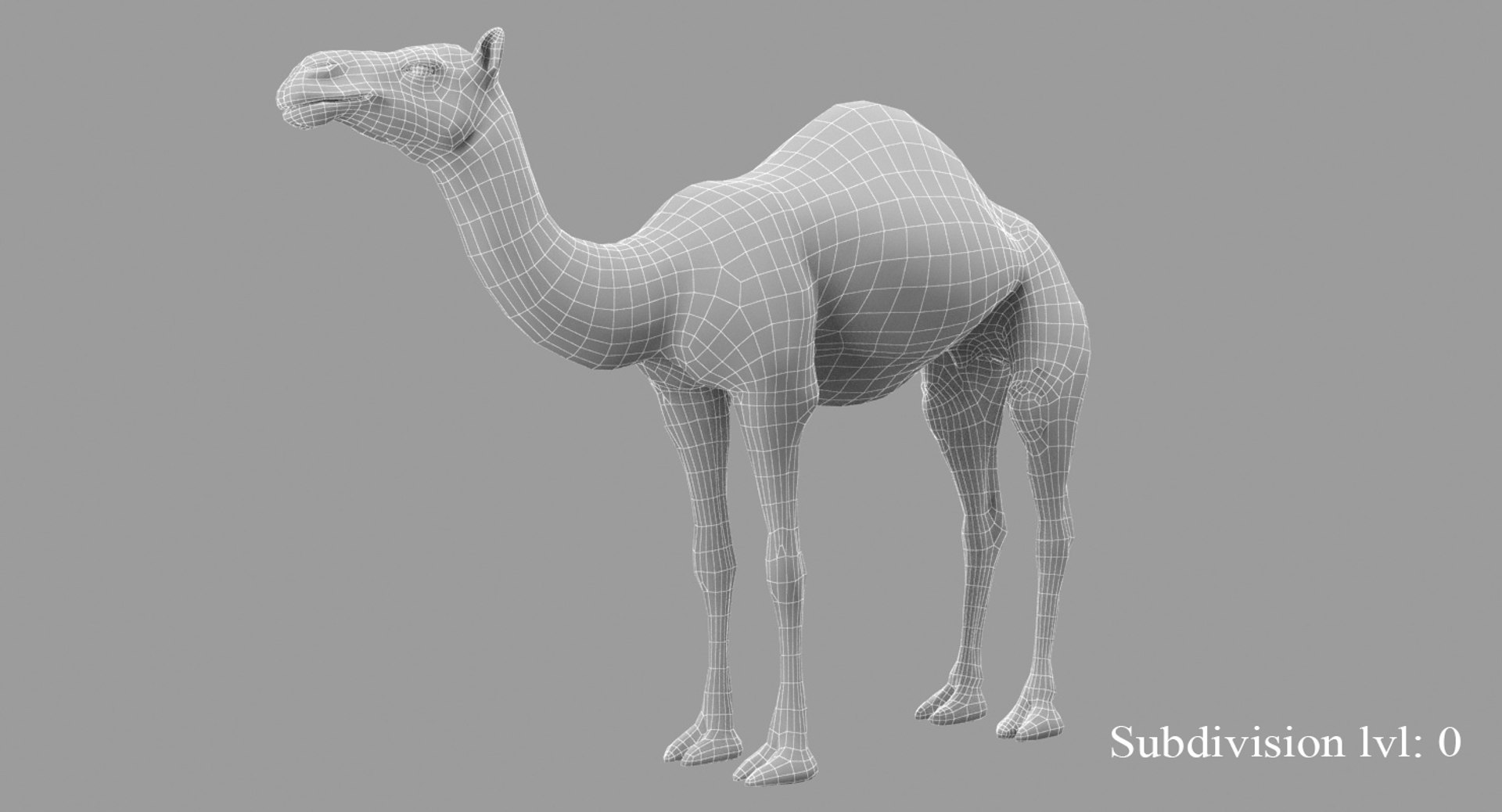 3D animals giraffe camel https://p.turbosquid.com/ts-thumb/AD/VslTpU/5tTIXa1j/wire1/jpg/1511294022/1920x1080/fit_q87/1aa952282a7531661df7b8c4c185107626eed843/wire1.jpg