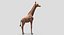 Collection d'animaux sauvages (girafe, kangourou, orignal, chameau)