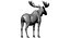 Collection d'animaux sauvages (girafe, kangourou, orignal, chameau)