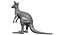Collection d'animaux sauvages (girafe, kangourou, orignal, chameau)