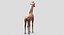 Collection d'animaux sauvages (girafe, kangourou, orignal, chameau)