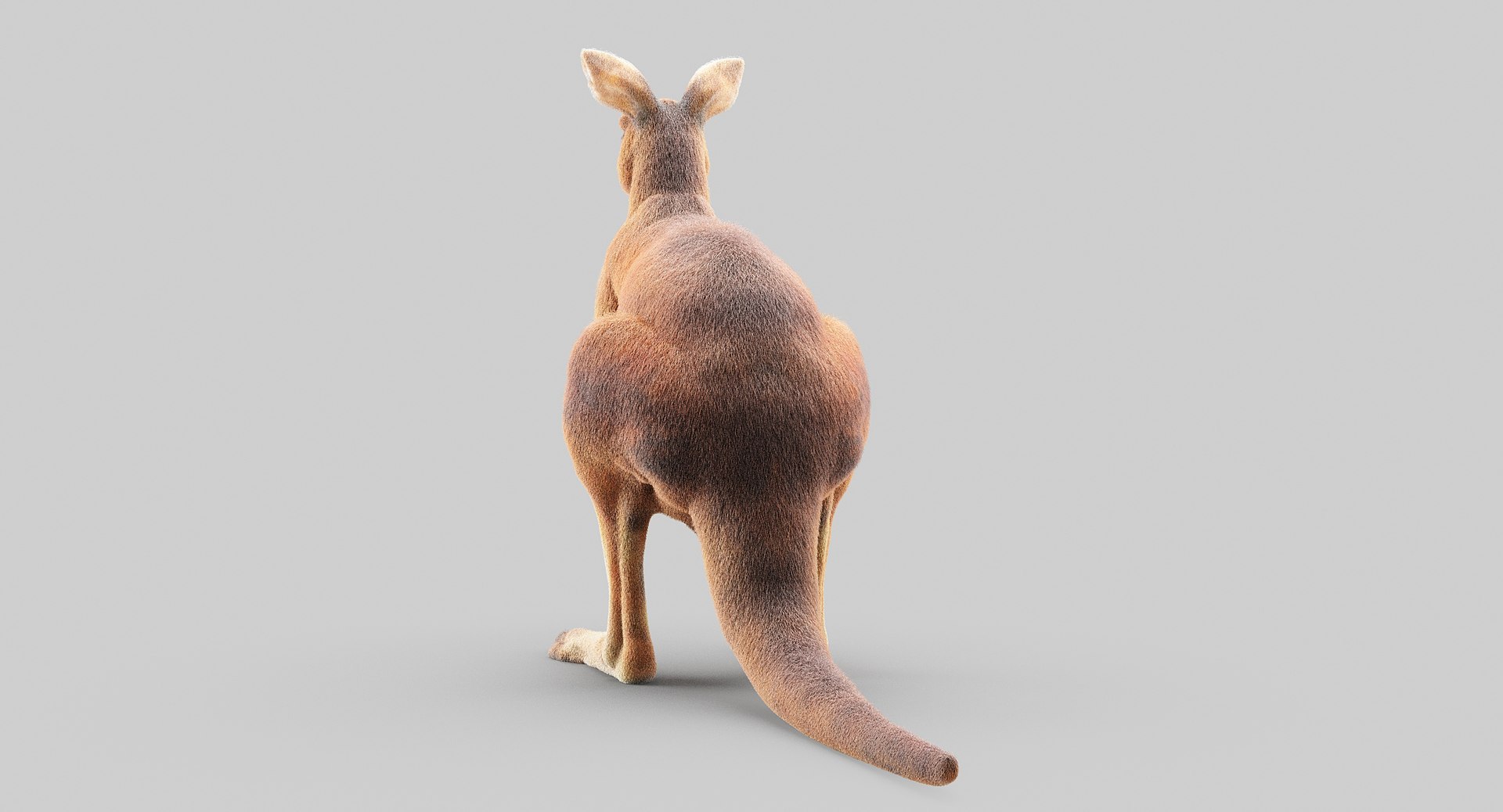 3D animals giraffe camel https://p.turbosquid.com/ts-thumb/AD/VslTpU/BXN5BxLx/6/jpg/1511296343/1920x1080/fit_q87/8621c41c52501fc452cabd045759f16ade710e7e/6.jpg