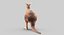 Collection d'animaux sauvages (girafe, kangourou, orignal, chameau)