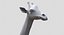 Collection d'animaux sauvages (girafe, kangourou, orignal, chameau)