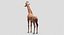 Collection d'animaux sauvages (girafe, kangourou, orignal, chameau)