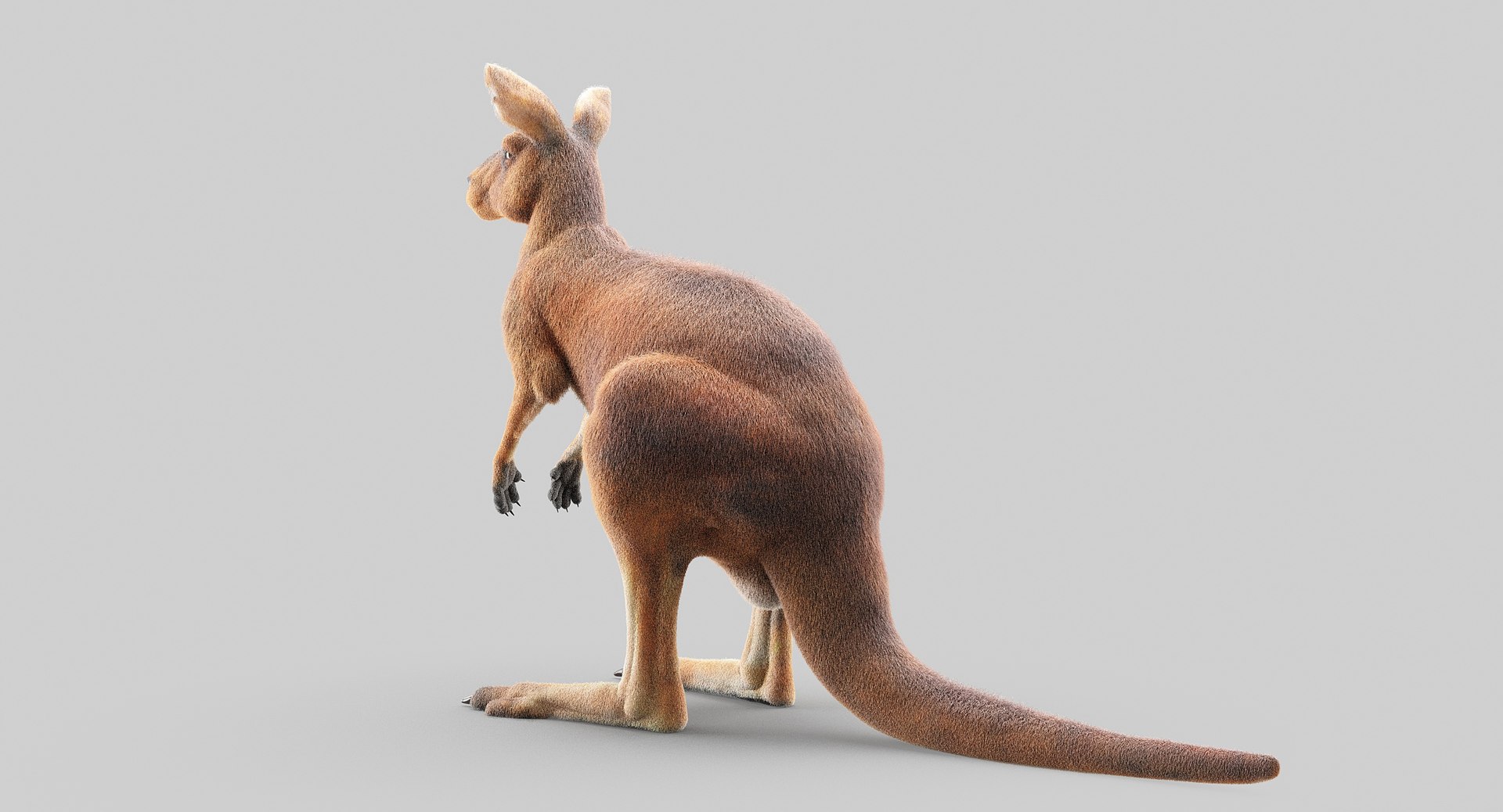 3D animals giraffe camel https://p.turbosquid.com/ts-thumb/AD/VslTpU/DRVBAxQE/5/jpg/1511296343/1920x1080/fit_q87/685a9de735c201eb22ed3ddbeded99e7a150c977/5.jpg