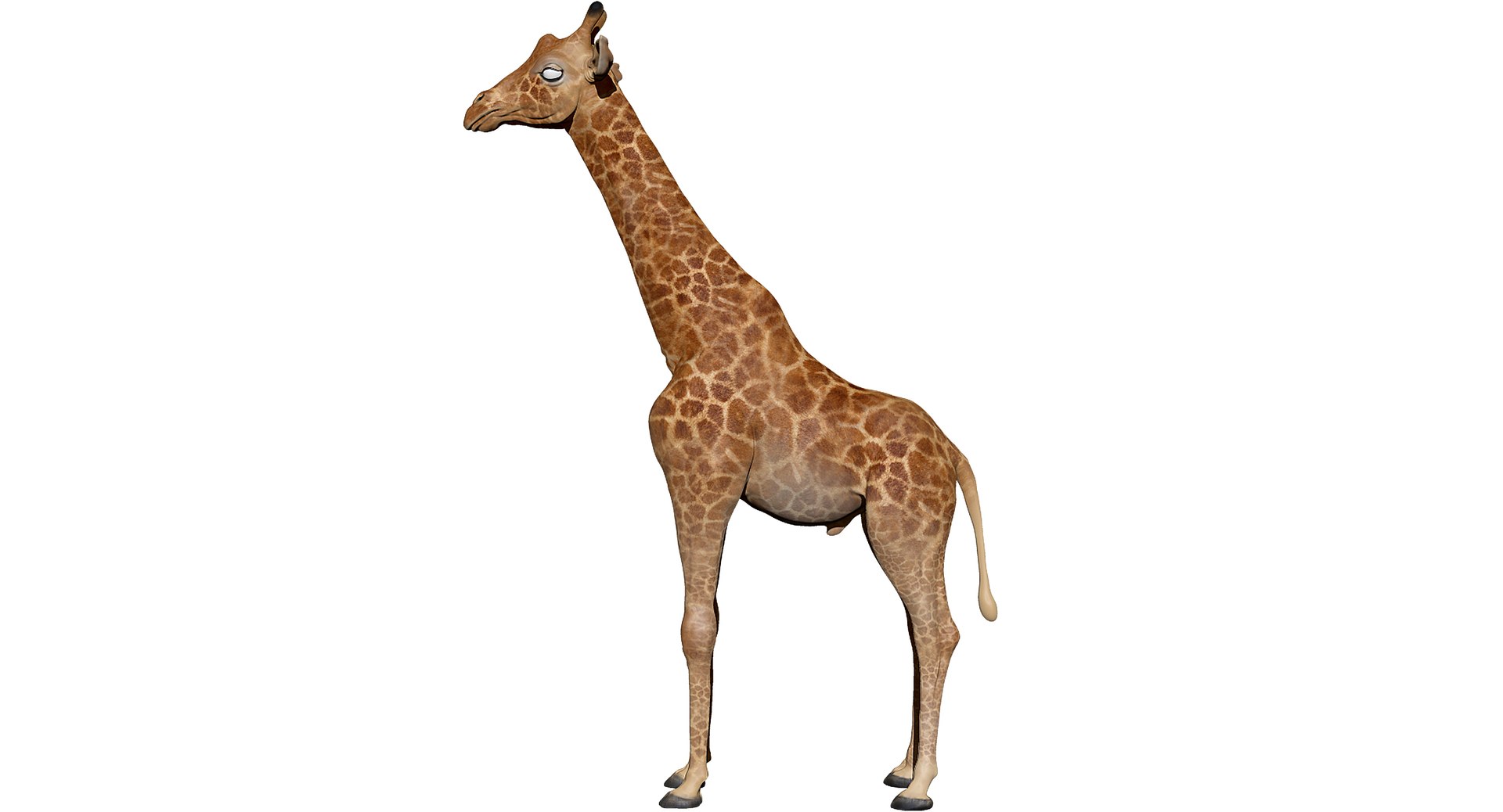 3D animals giraffe camel https://p.turbosquid.com/ts-thumb/AD/VslTpU/Fey93IWo/zb05/jpg/1511294454/1920x1080/fit_q87/03d7c704fec04c02cfa5b9ce28a4751a85209d4a/zb05.jpg