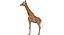 Collection d'animaux sauvages (girafe, kangourou, orignal, chameau)