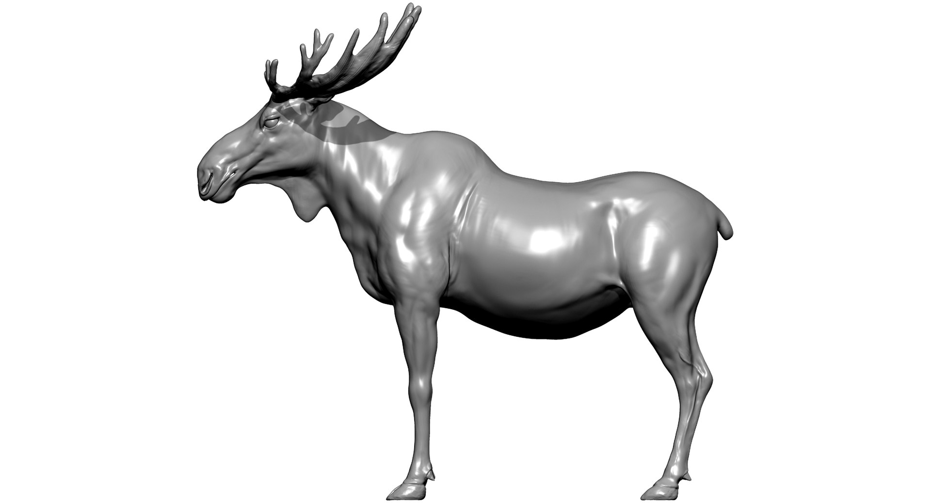 3D animals giraffe camel https://p.turbosquid.com/ts-thumb/AD/VslTpU/H5TrQHm4/a3/jpg/1511296427/1920x1080/fit_q87/efe366ddc2f0bc4ecda953cd6079b802e2d1449a/a3.jpg