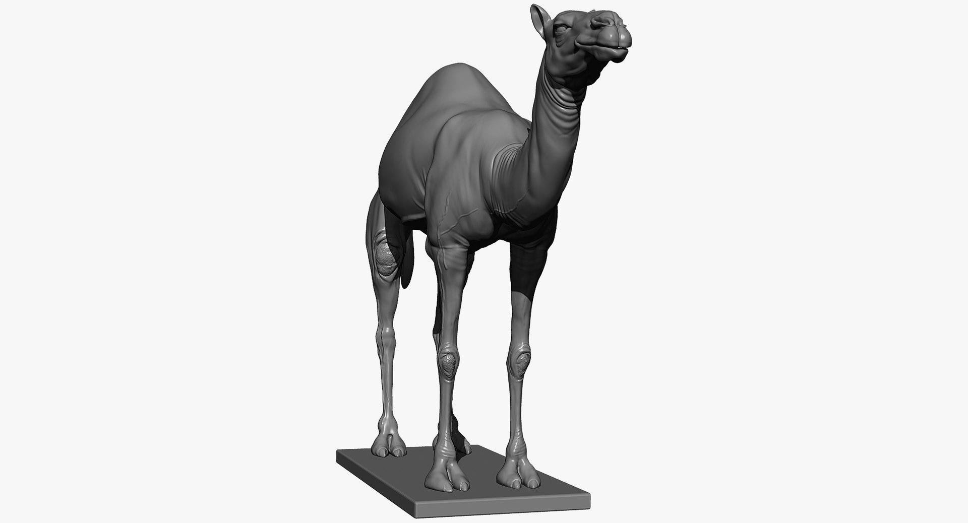 3D animals giraffe camel https://p.turbosquid.com/ts-thumb/AD/VslTpU/IoBxtEmC/zbrush2/jpg/1511294022/1920x1080/fit_q87/a0f41e6234fde8fa91eb37acc661300d6be0d013/zbrush2.jpg