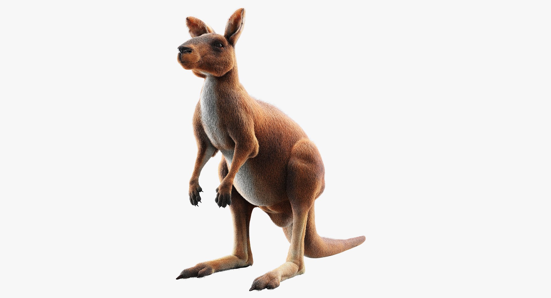 3D animals giraffe camel https://p.turbosquid.com/ts-thumb/AD/VslTpU/JIMmETea/b/jpg/1511296344/1920x1080/fit_q87/eda211bda3cd212d12ecc053a5822f408951a8df/b.jpg