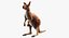 Collection d'animaux sauvages (girafe, kangourou, orignal, chameau)