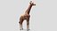 Collection d'animaux sauvages (girafe, kangourou, orignal, chameau)
