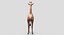 Collection d'animaux sauvages (girafe, kangourou, orignal, chameau)