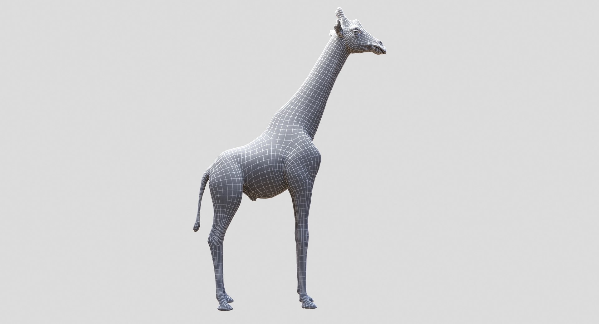 3D animals giraffe camel https://p.turbosquid.com/ts-thumb/AD/VslTpU/OJ1vQoVj/wire5/jpg/1511294454/1920x1080/fit_q87/dd4fdb5c5dbbe2e294a3e5a4a4607a565a9a2f3c/wire5.jpg