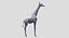 Collection d'animaux sauvages (girafe, kangourou, orignal, chameau)