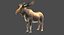 Collection d'animaux sauvages (girafe, kangourou, orignal, chameau)