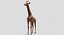 Collection d'animaux sauvages (girafe, kangourou, orignal, chameau)