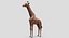 Collection d'animaux sauvages (girafe, kangourou, orignal, chameau)