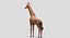 Collection d'animaux sauvages (girafe, kangourou, orignal, chameau)