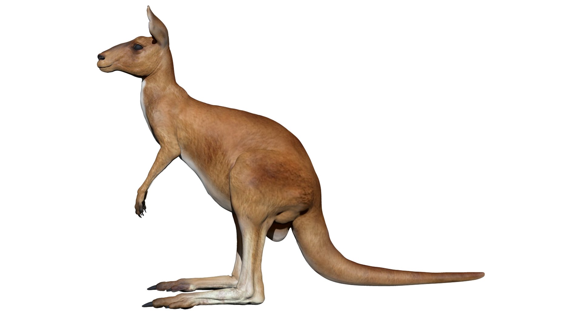 3D animals giraffe camel https://p.turbosquid.com/ts-thumb/AD/VslTpU/ZawczhpZ/zb02/jpg/1511296349/1920x1080/fit_q87/0d25f3d8a1242797d1bef1f8247ade11f6b53e57/zb02.jpg