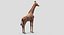 Collection d'animaux sauvages (girafe, kangourou, orignal, chameau)