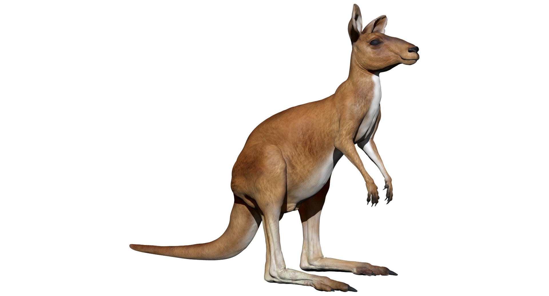 3D animals giraffe camel https://p.turbosquid.com/ts-thumb/AD/VslTpU/dzLJWIo9/zb01/jpg/1511296349/1920x1080/fit_q87/100d3bdb278849f7b2331295e10bba46d0b0a940/zb01.jpg