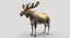 Collection d'animaux sauvages (girafe, kangourou, orignal, chameau)