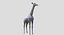 Collection d'animaux sauvages (girafe, kangourou, orignal, chameau)