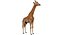 Collection d'animaux sauvages (girafe, kangourou, orignal, chameau)