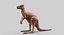 Collection d'animaux sauvages (girafe, kangourou, orignal, chameau)