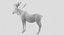 Collection d'animaux sauvages (girafe, kangourou, orignal, chameau)