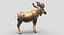 Collection d'animaux sauvages (girafe, kangourou, orignal, chameau)