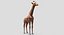 Collection d'animaux sauvages (girafe, kangourou, orignal, chameau)