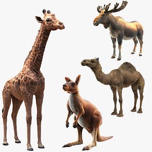 3D animals giraffe camel