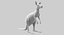 Collection d'animaux sauvages (girafe, kangourou, orignal, chameau)