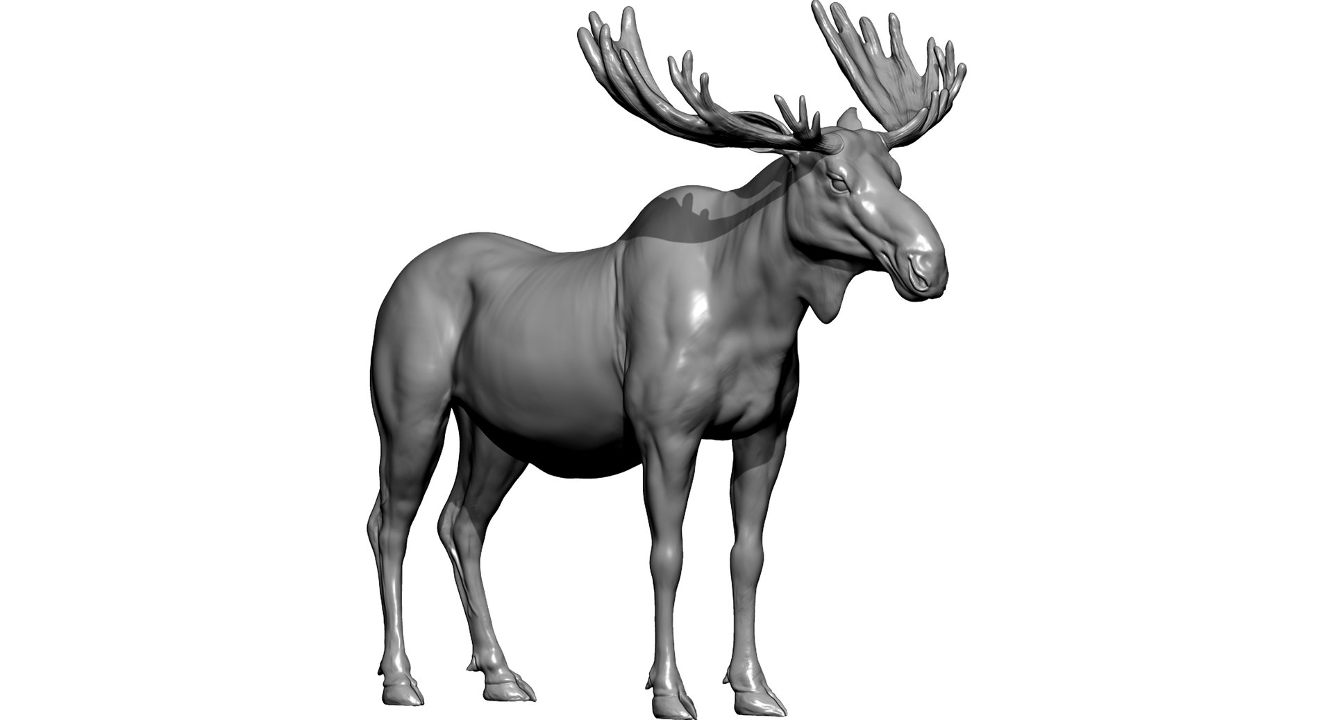 3D animals giraffe camel https://p.turbosquid.com/ts-thumb/AD/VslTpU/qwDF9n5j/a1/jpg/1511296427/1920x1080/fit_q87/e4c866cca4e2b795c41d4e0b319dce7601861e50/a1.jpg