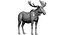 Collection d'animaux sauvages (girafe, kangourou, orignal, chameau)
