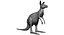 Collection d'animaux sauvages (girafe, kangourou, orignal, chameau)