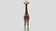 Collection d'animaux sauvages (girafe, kangourou, orignal, chameau)