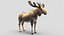 Collection d'animaux sauvages (girafe, kangourou, orignal, chameau)