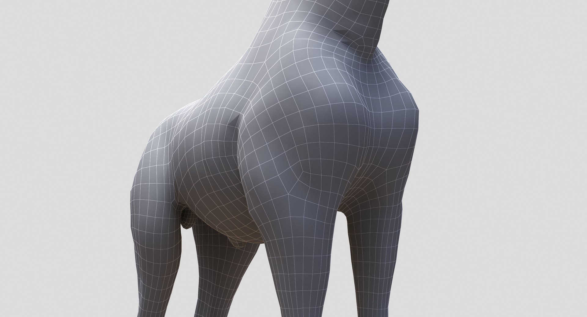 3D animals giraffe camel https://p.turbosquid.com/ts-thumb/AD/VslTpU/tYSGiNIg/wire3/jpg/1511294454/1920x1080/fit_q87/48cbe5fc472990c29985ed464eec27657429fa35/wire3.jpg