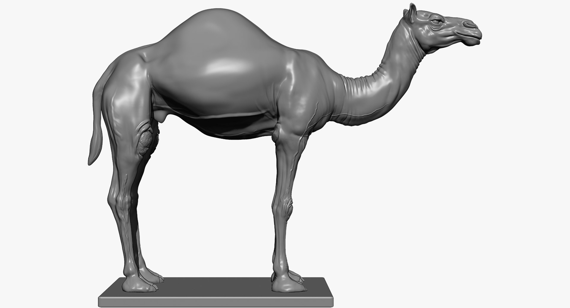 3D animals giraffe camel https://p.turbosquid.com/ts-thumb/AD/VslTpU/tiNMNFmU/zbrush3/jpg/1511294023/1920x1080/fit_q87/72c6ad5851fd17994696510b073fb5cd4a723945/zbrush3.jpg