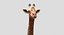 Collection d'animaux sauvages (girafe, kangourou, orignal, chameau)